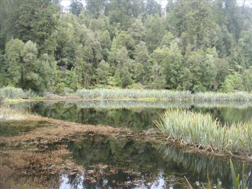 Lake Matheson