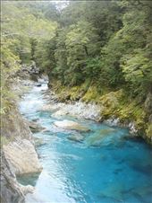 Blue Pools, near Makarora: by thomasz, Views[120]