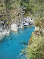Blue Pools, near Makarora: by thomasz, Views[126]