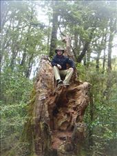 King in the castle: by thomasz, Views[114]