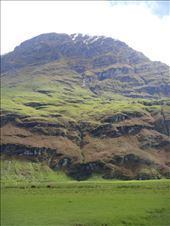 On Mt Aspiring Station: by thomasz, Views[113]