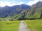Rob Roy glacier track: by thomasz, Views[98]