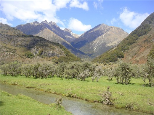 Caples - Greenstone track