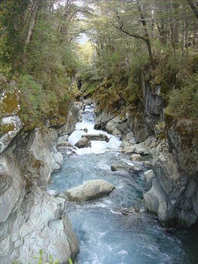Torrent, Caples - Greenstone track