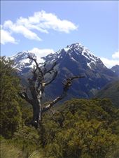 Caples - Greenstone track: by thomasz, Views[203]