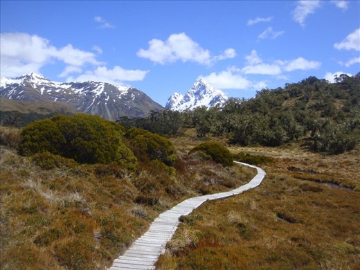 Boardwalk through some fens, Caples - Greenstone track
