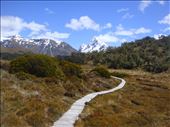 Boardwalk through some fens, Caples - Greenstone track: by thomasz, Views[156]