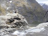 Looking out over Gertrude valley, Fiordland NP: by thomasz, Views[104]