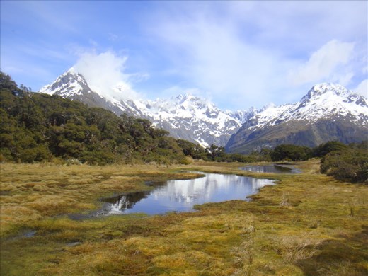 Fen, Key Summit, Fiordland NP