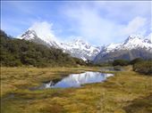 Fen, Key Summit, Fiordland NP: by thomasz, Views[125]