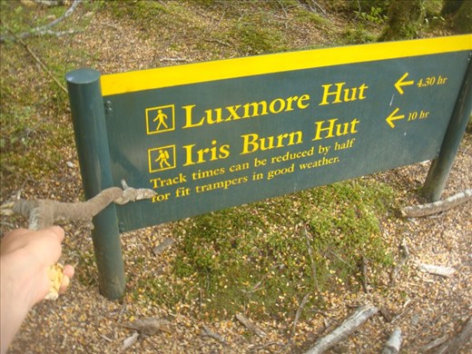 Did it in 2.5 hours, Kepler track