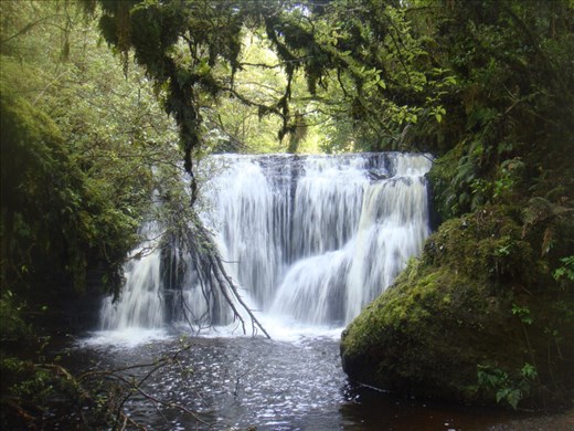 Catlins Conservation Area