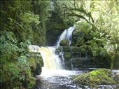 Mclean Falls, Catlins: by thomasz, Views[116]