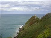 Nugget Point lighthouse: by thomasz, Views[134]