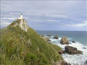 Nugget Point: by thomasz, Views[160]