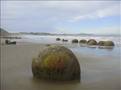 Moeraki boulders: by thomasz, Views[129]