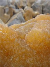 Cristals inside the boulders: by thomasz, Views[127]