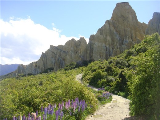 Clay cliffs, near Omarama
