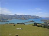 Banks Peninsula: by thomasz, Views[154]