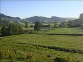 Geese and the paddocks, Avonstour: by thomasz, Views[169]