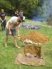 Making a hangi (ground oven), Avonstour: by thomasz, Views[95]