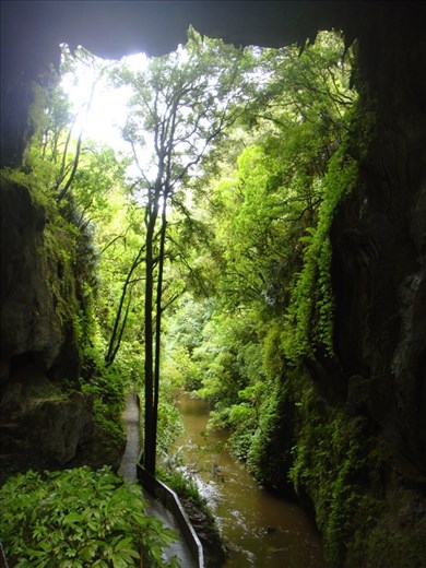 Mangapohue natural bridge