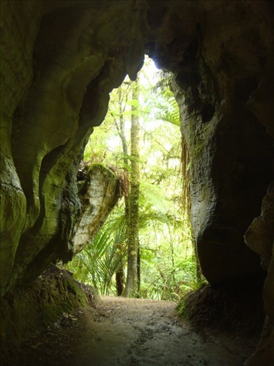 Waitomo caves