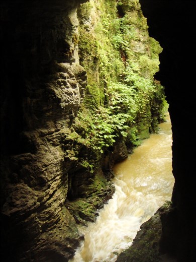 Waitomo caves