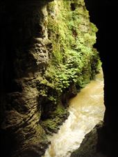 Waitomo caves: by thomasz, Views[100]