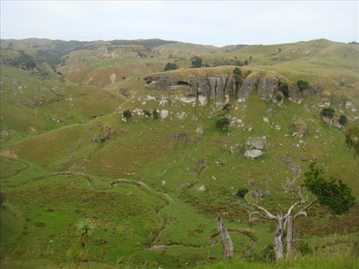 Limestone Downs