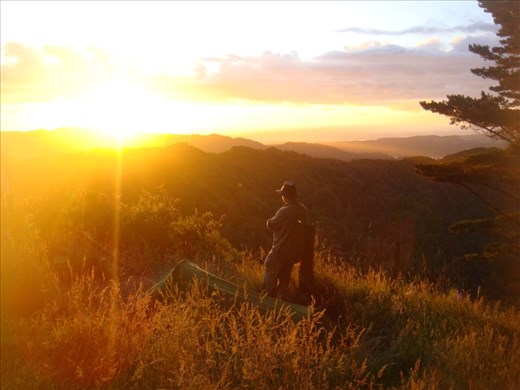 Looking out over the Waikato at sunset