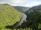 Whanganui: by thomasz, Views[218]