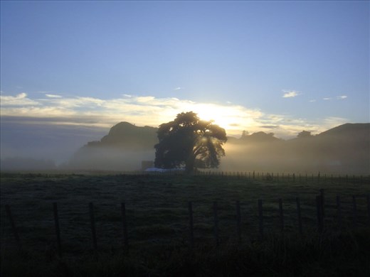 Sunrise in Tolaga Bay