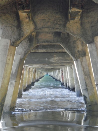Underneath Tolaga Bay wharf