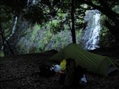 Camping near a waterfall, Hicks Bay: by thomasz, Views[163]