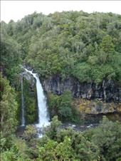 Dawson falls: by thomasz, Views[189]