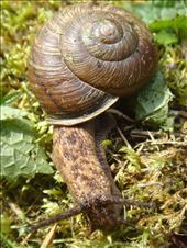 by thomasz, Views[230]