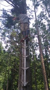 by thomasz, Views[120]