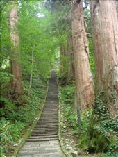 by thomasz, Views[136]