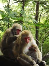 by thomasz, Views[152]