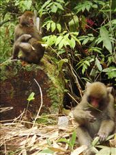 by thomasz, Views[169]