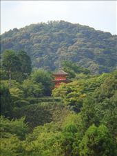 by thomasz, Views[116]