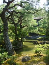 by thomasz, Views[139]