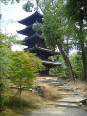 by thomasz, Views[128]