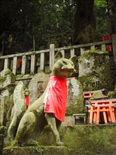 by thomasz, Views[133]