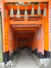 by thomasz, Views[102]