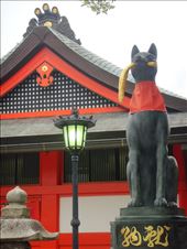 by thomasz, Views[113]