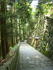 by thomasz, Views[125]