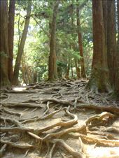 by thomasz, Views[98]