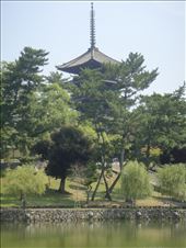 by thomasz, Views[111]